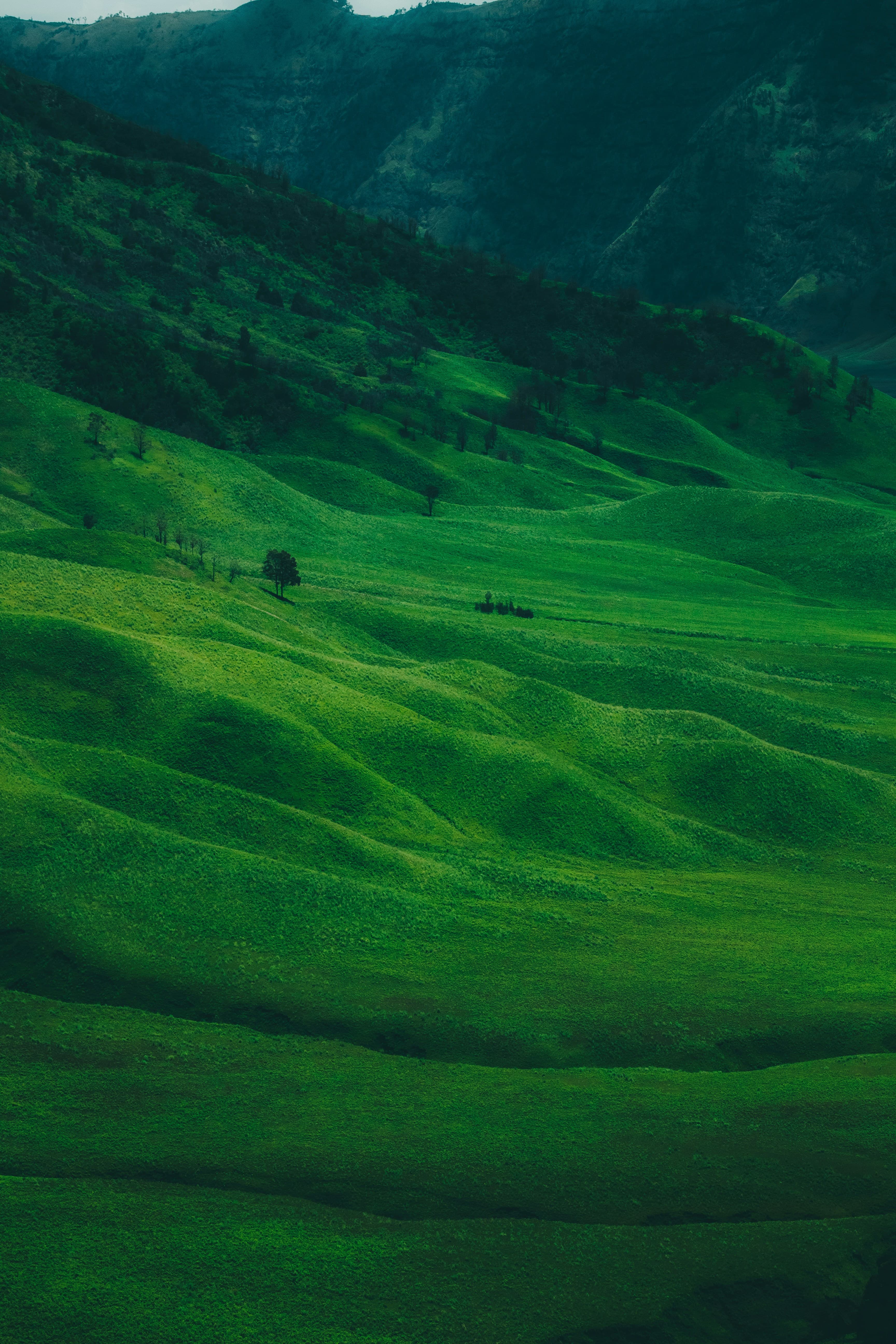 Paisaje natural suave que evoca una plataforma calma e integrada